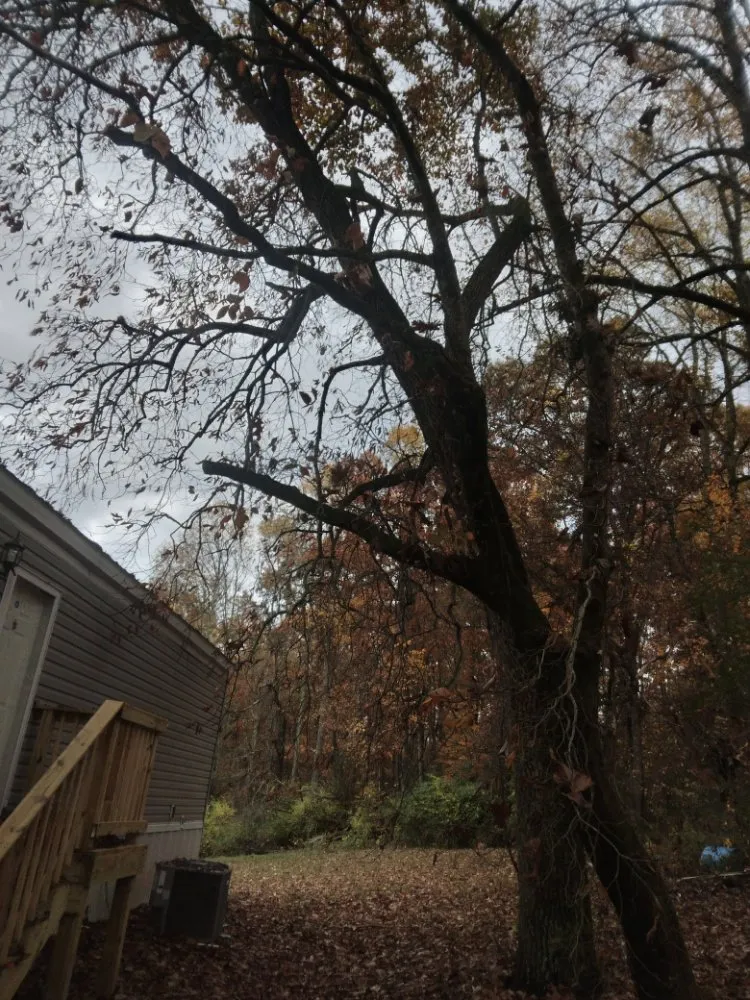 Top-rated landscaping services with custom design in Knoxville, TN by Two Brothers Tree Service and Landscaping