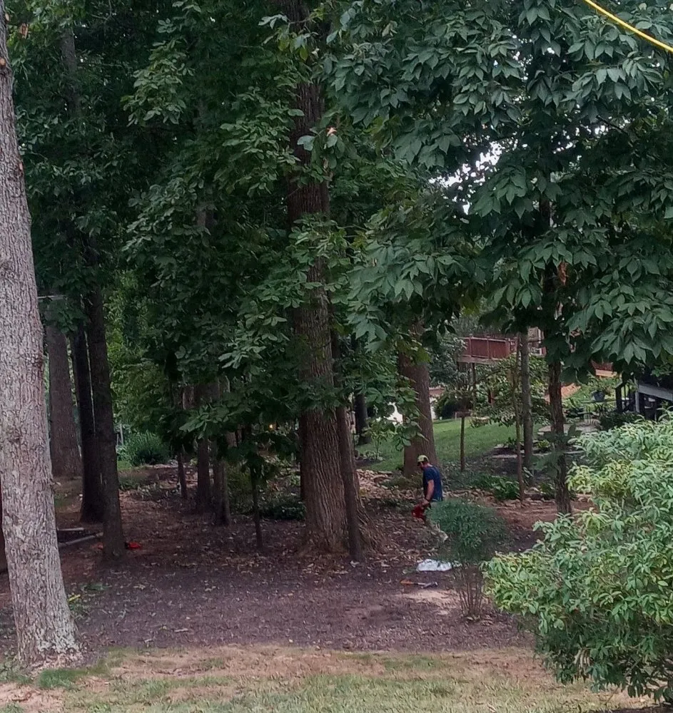 Affordable garden landscaping in Knoxville, TN by Two Brothers Tree Service and Landscaping