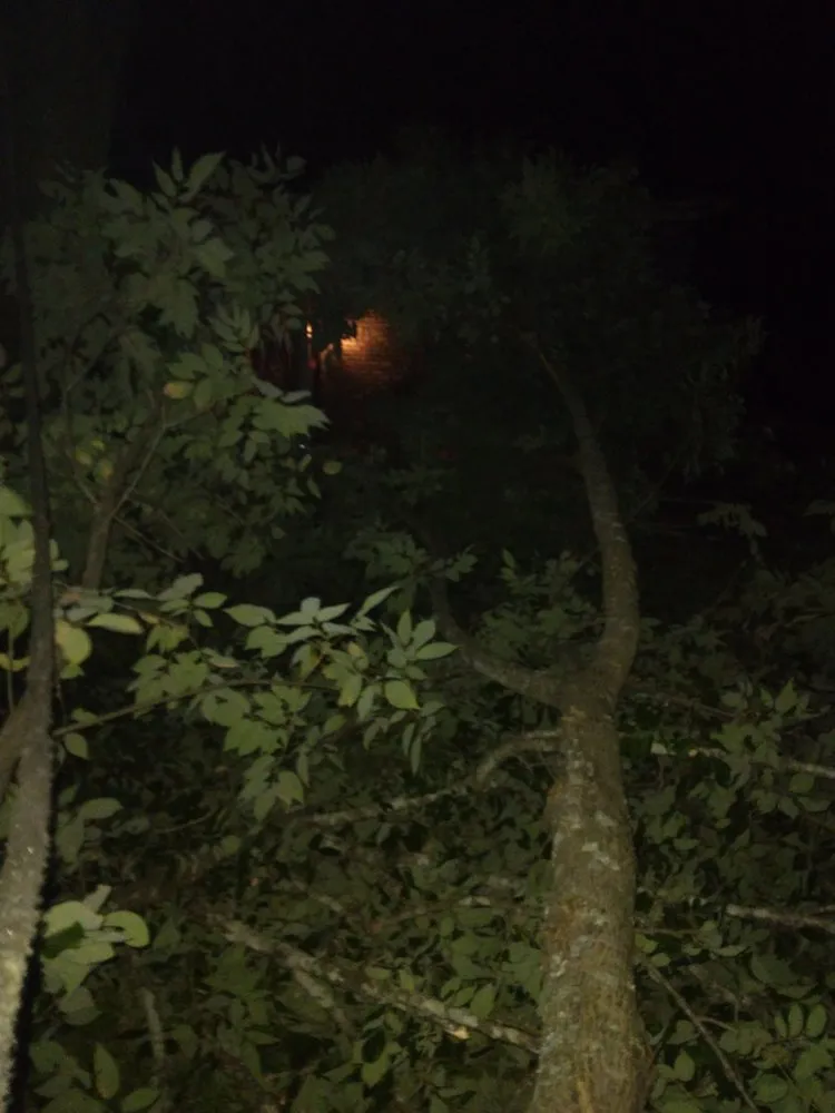 Professional landscaping services for homes across Knoxville, TN - Two Brothers Tree Service and Landscaping