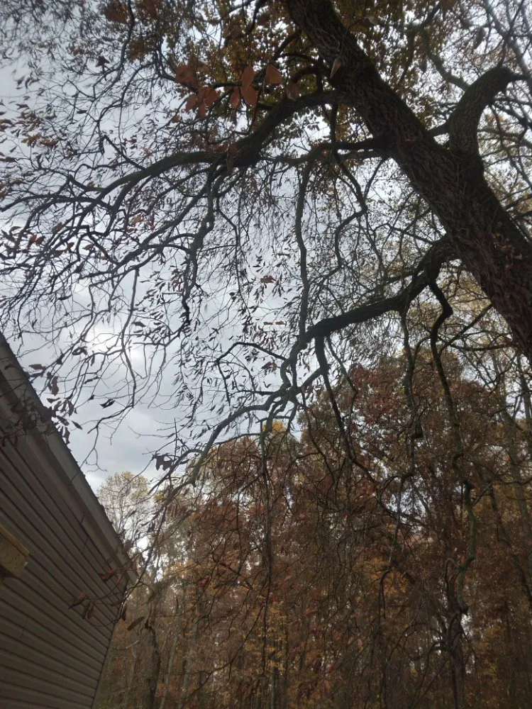 Local garden landscaping experts serving Knoxville, TN - Two Brothers Tree Service and Landscaping