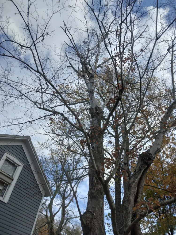 Custom garden landscaping in Knoxville, TN by Two Brothers Tree Service and Landscaping