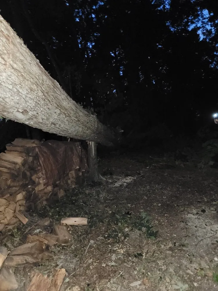 Reliable garden landscaping for outdoor upgrades across Knoxville, TN - Two Brothers Tree Service and Landscaping