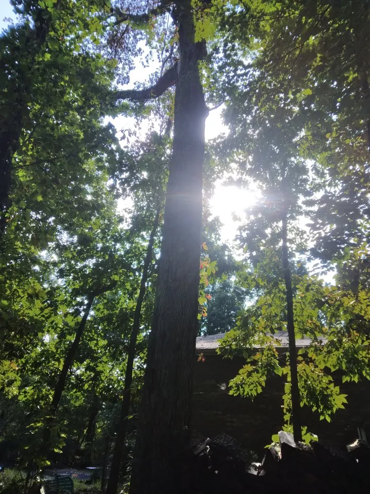 Local outdoor landscaping in Knoxville, TN by Two Brothers Tree Service and Landscaping