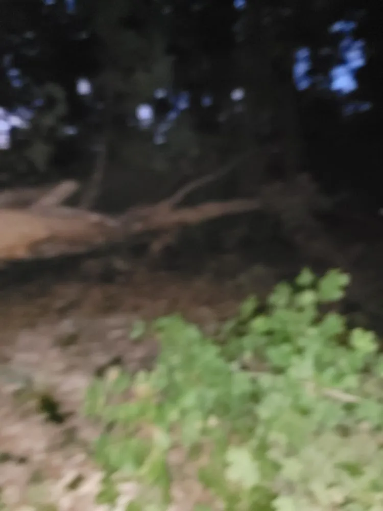 Trusted landscape installation for beautiful yards in Knoxville, TN by Two Brothers Tree Service and Landscaping