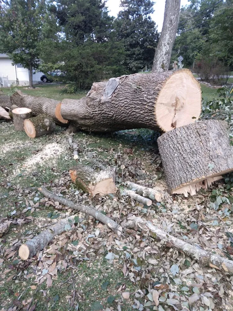 Trusted residential landscaping experts serving Knoxville, TN - Two Brothers Tree Service and Landscaping