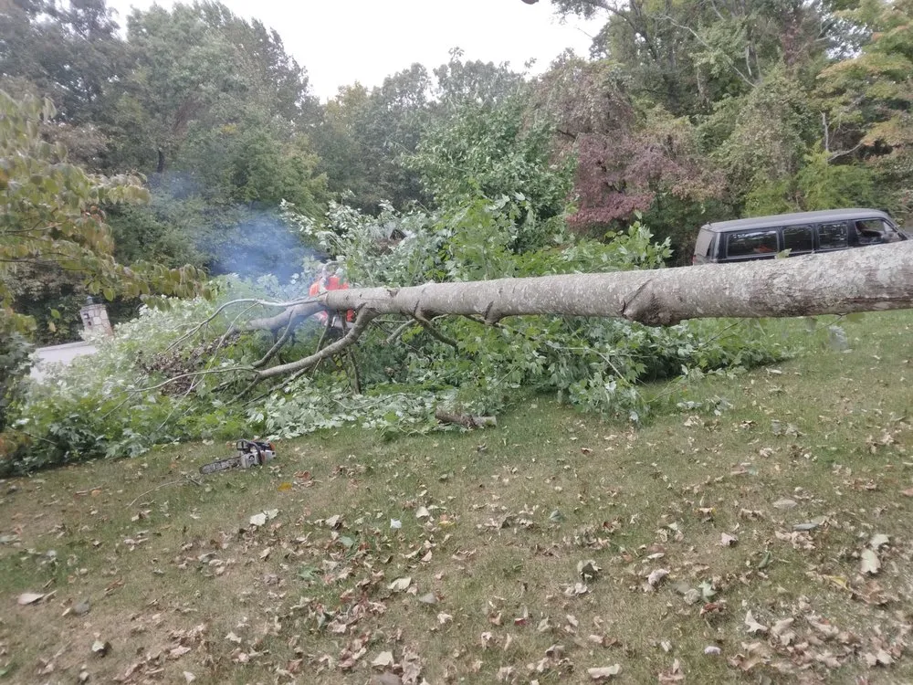 Top-rated outdoor landscaping in Knoxville, TN - Two Brothers Tree Service and Landscaping