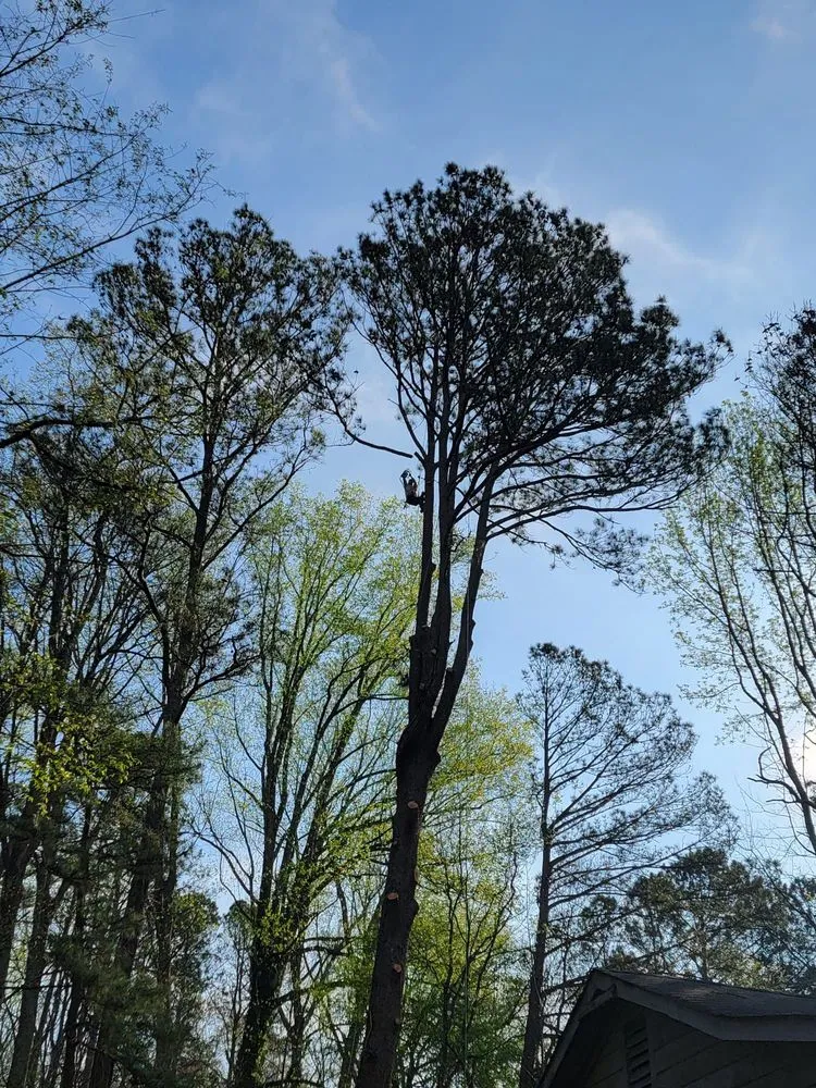 Professional landscape installation in Marietta, GA by Two Brothers Tree Service and Landscaping