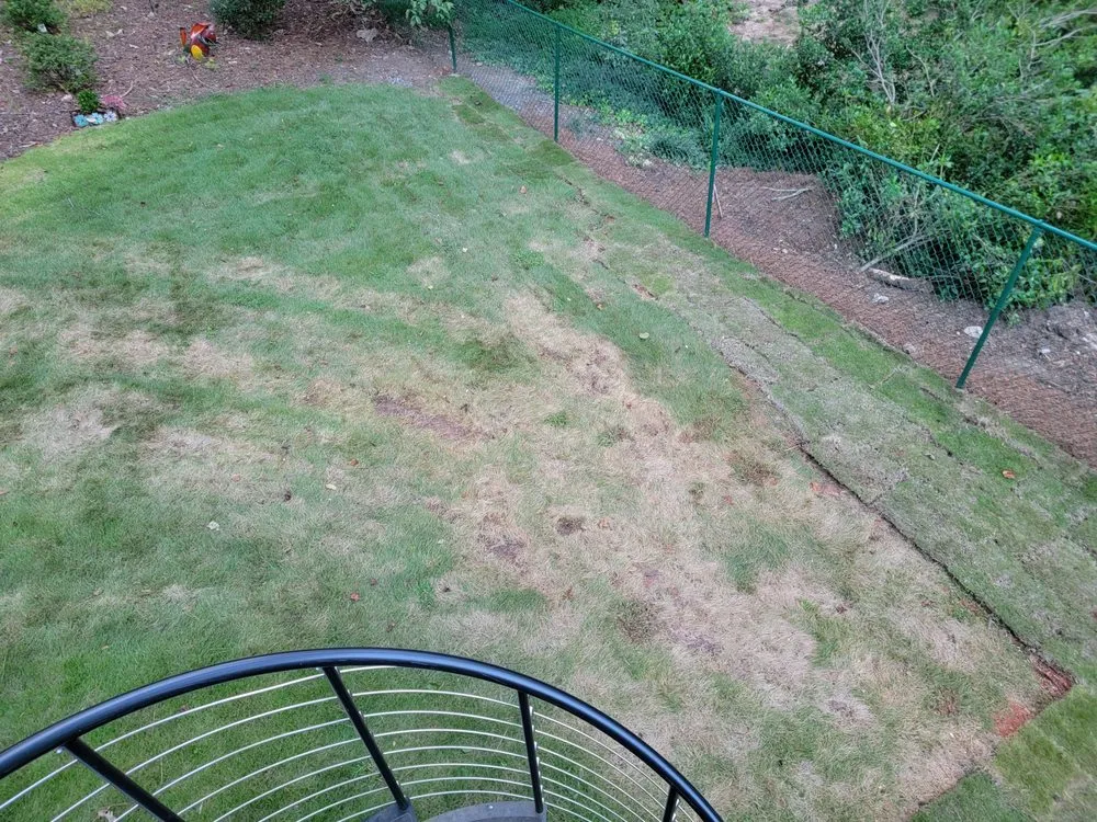 Trusted landscaping services for year-round maintenance across Marietta, GA - Two Brothers Tree Service and Landscaping