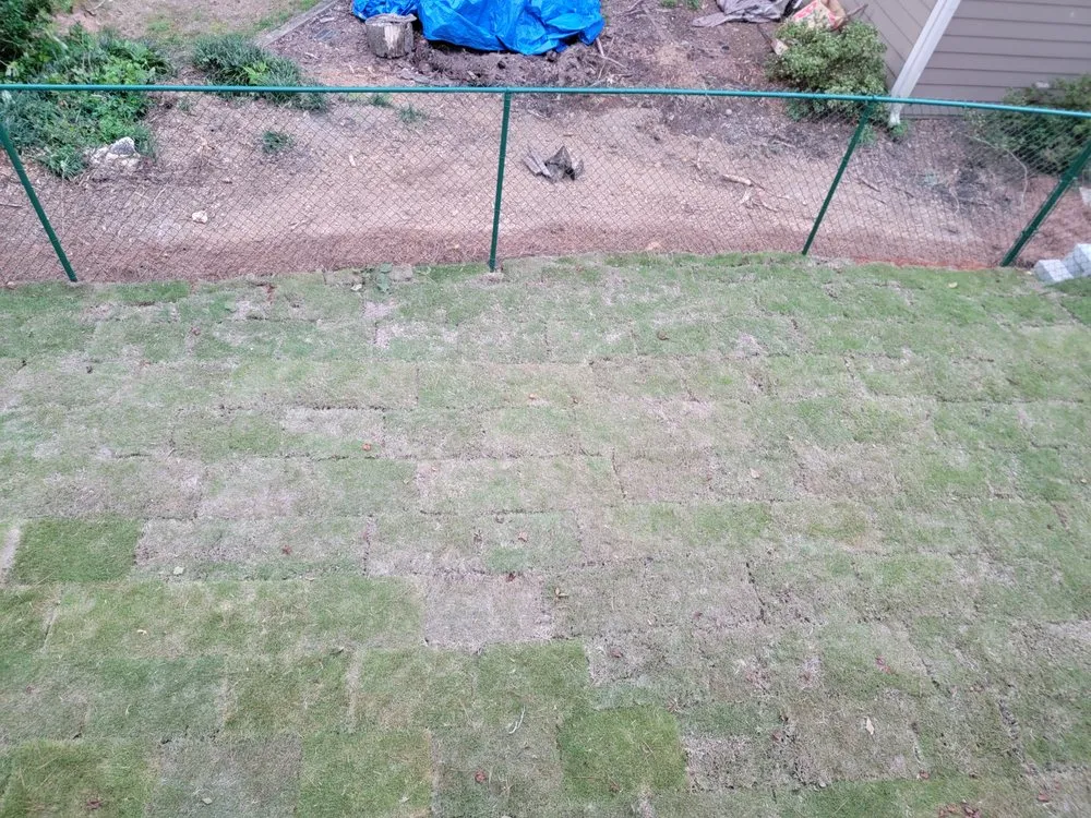 Trusted landscaping services in Marietta, GA - Two Brothers Tree Service and Landscaping