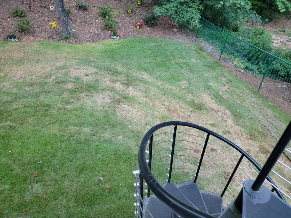 Top-rated yard cleanup service in Marietta, GA - Two Brothers Tree Service and Landscaping