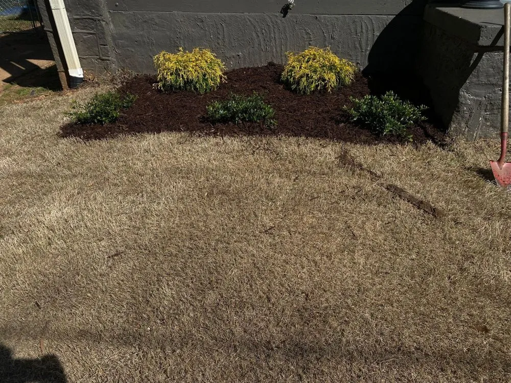 Expert lawn care service for beautiful yards in Marietta, GA by Two Brothers Tree Service and Landscaping