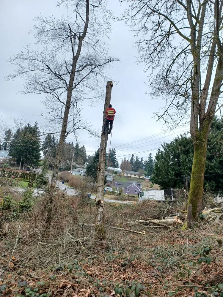 Trusted landscape installation experts serving Shelton, WA - Two Brothers Tree Services and Landscaping