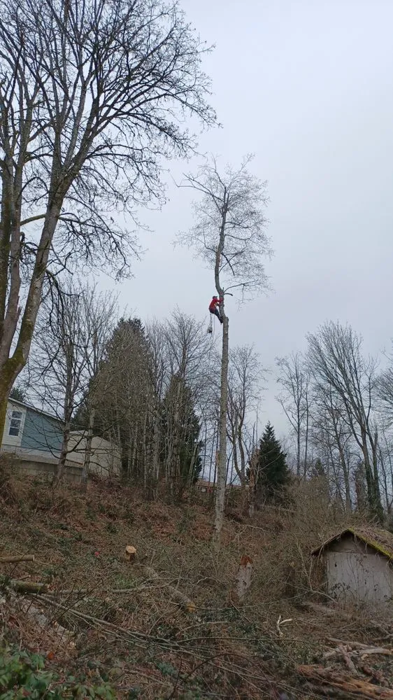 Top-rated garden landscaping near you in Shelton, WA by Two Brothers Tree Services and Landscaping