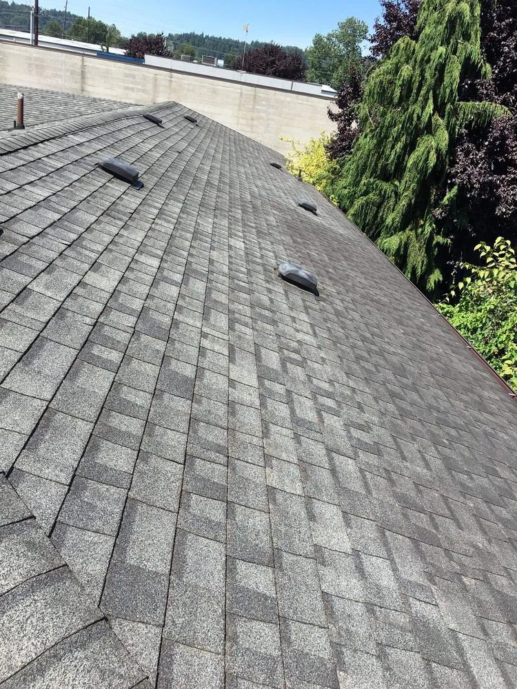 Affordable lawn care service experts serving Shelton, WA - Two Brothers Tree Services and Landscaping