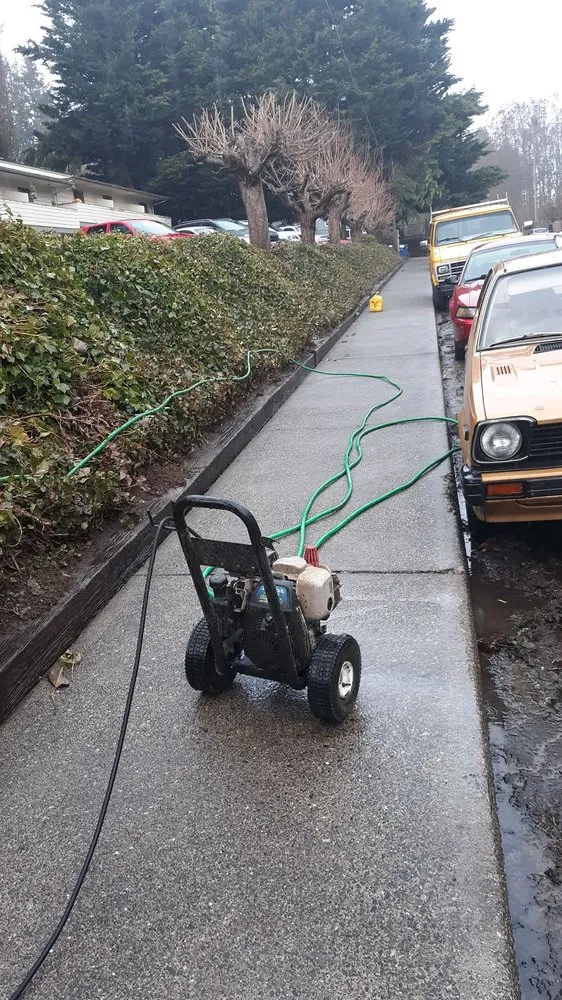 Expert yard cleanup service in Shelton, WA by Two Brothers Tree Services and Landscaping