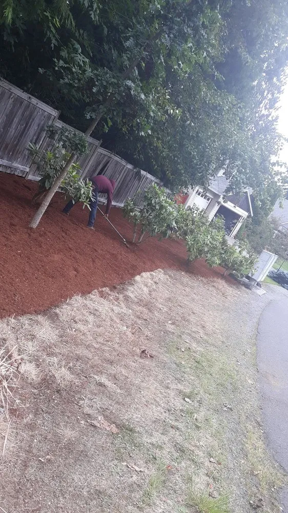 Top-rated yard maintenance in Shelton, WA - Two Brothers Tree Services and Landscaping