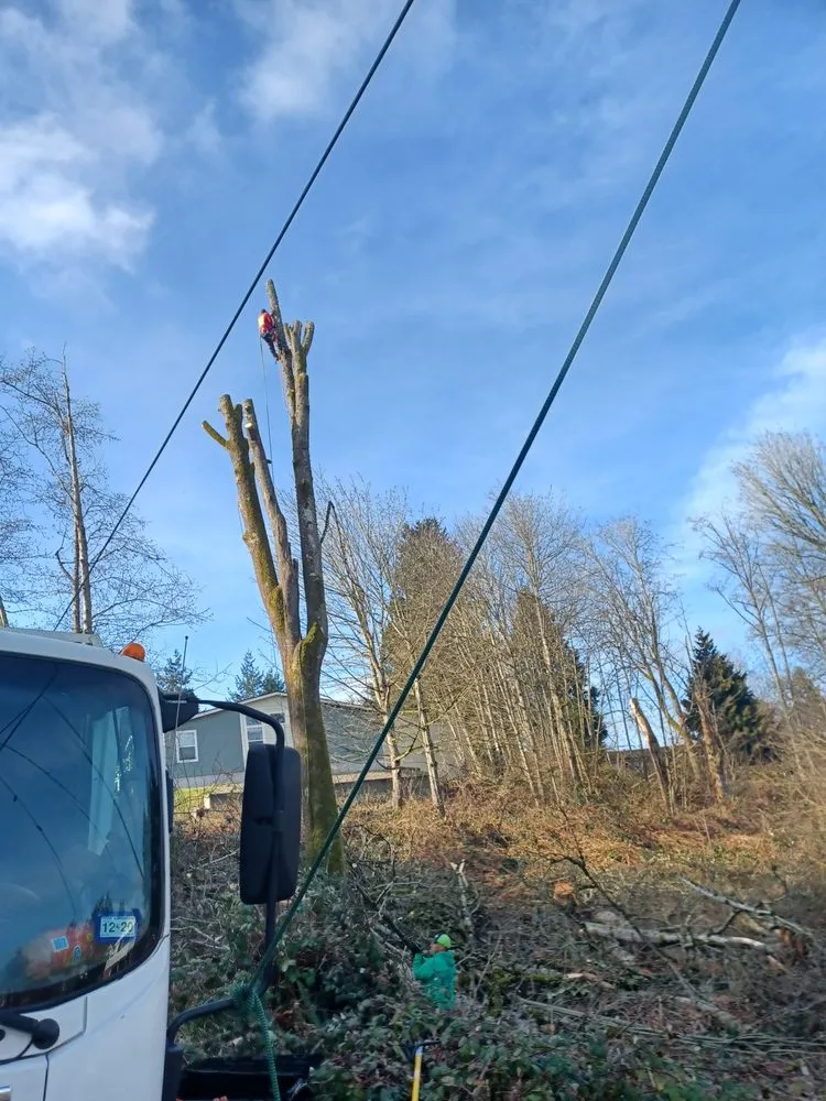 Affordable landscape installation experts serving Shelton, WA - Two Brothers Tree Services and Landscaping