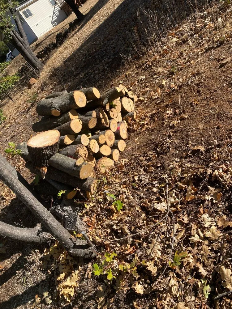 Reliable residential landscaping near you in Yuba City, CA by Two Brothers Tree Services