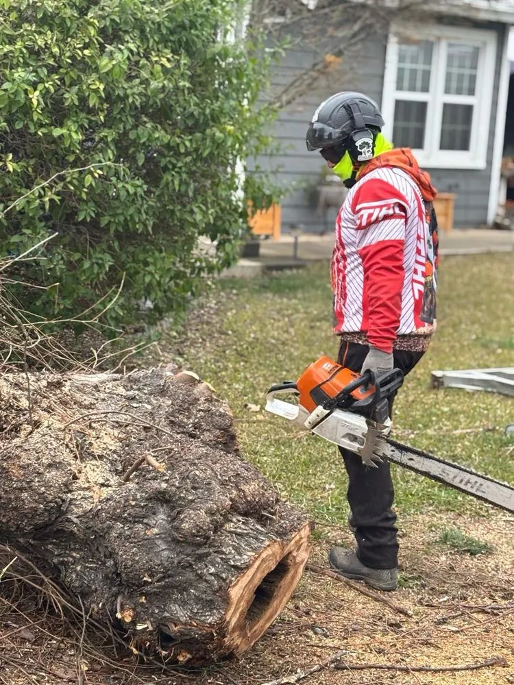 Top-rated residential landscaping experts serving Yuba City, CA - Two Brothers Tree Services