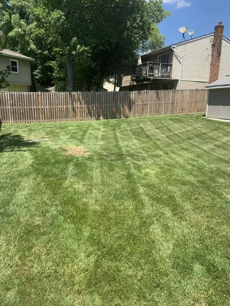Local yard maintenance in Glen Burnie, MD by Two Buds Lawn Care