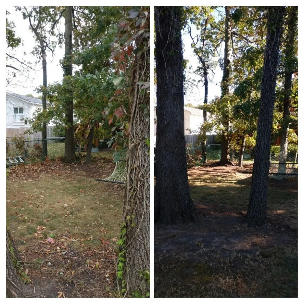 Professional yard cleanup service in Glen Burnie, MD - Two Buds Lawn Care