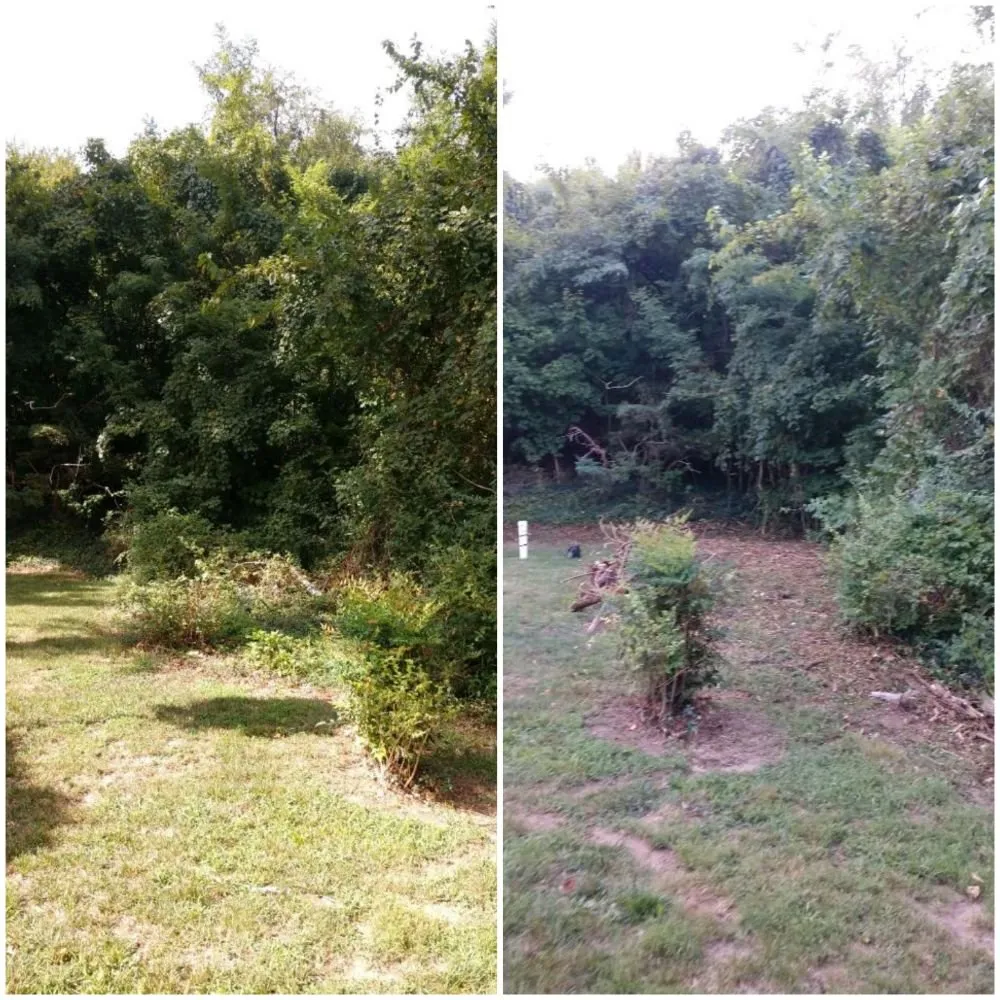 Affordable outdoor landscaping in Glen Burnie, MD by Two Buds Lawn Care