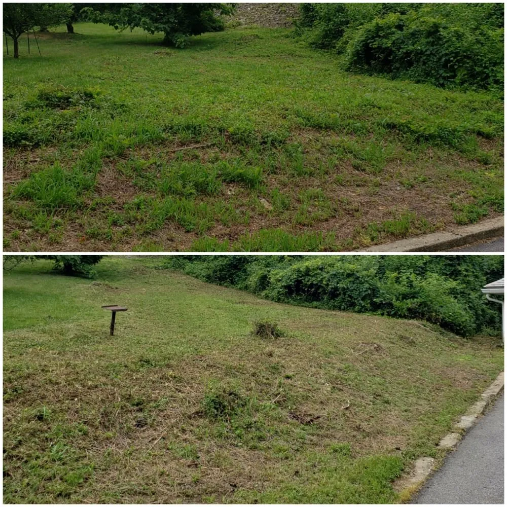 Trusted lawn mowing service in Glen Burnie, MD by Two Buds Lawn Care