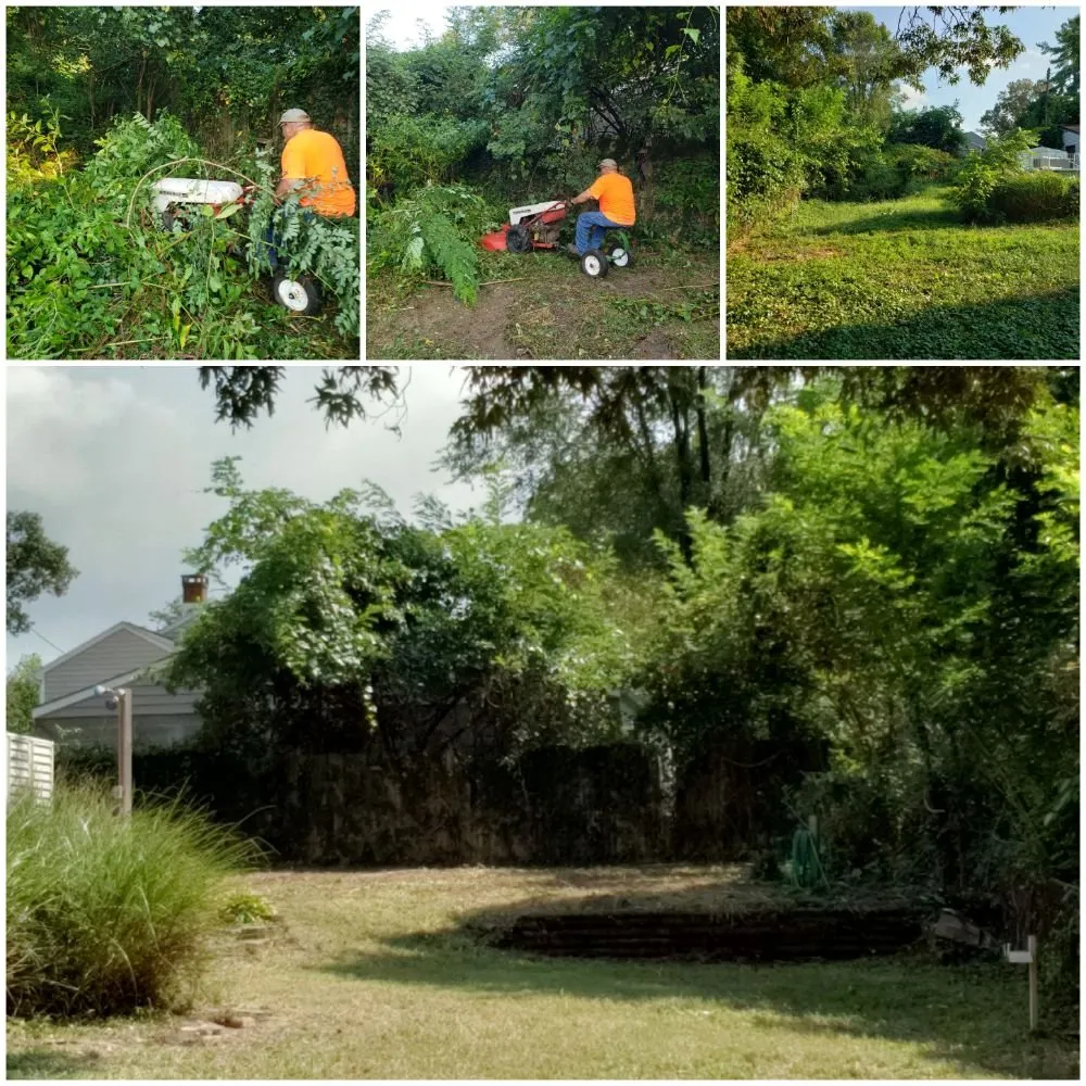 Trusted landscaping services in Glen Burnie, MD by Two Buds Lawn Care