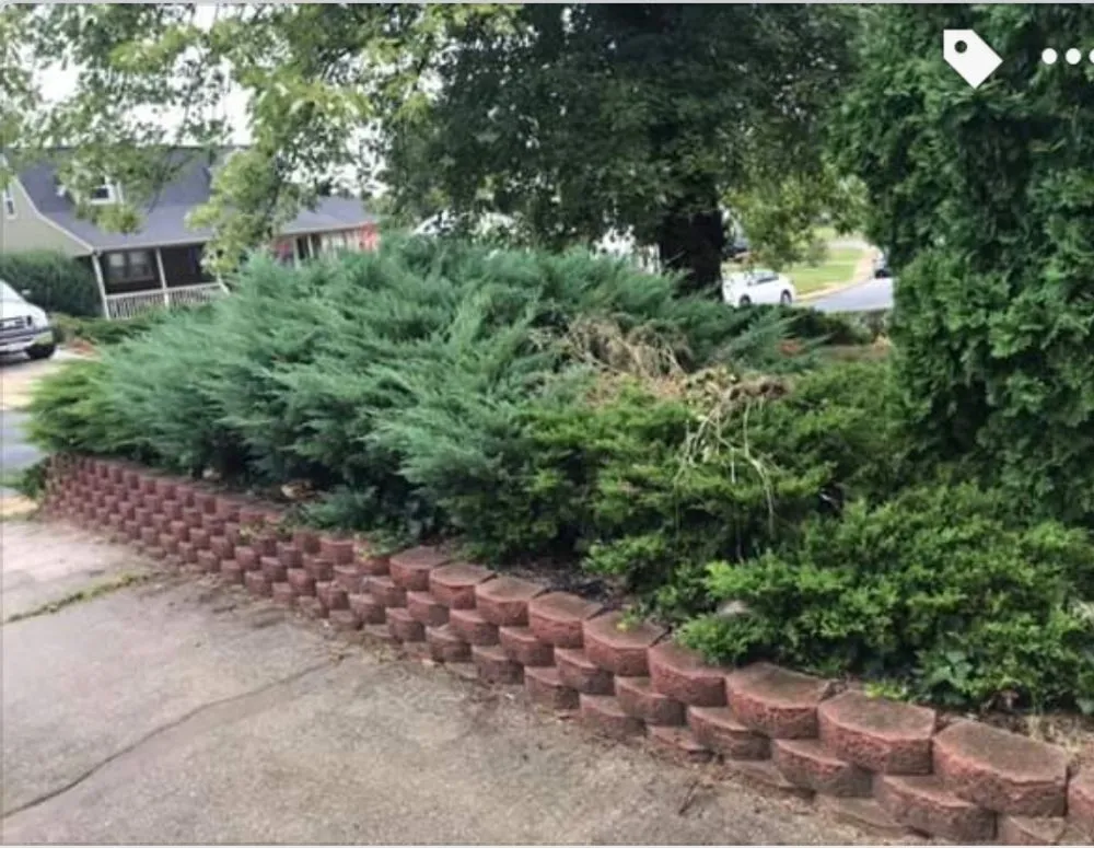 Professional lawn care service in Glen Burnie, MD by Two Buds Lawn Care