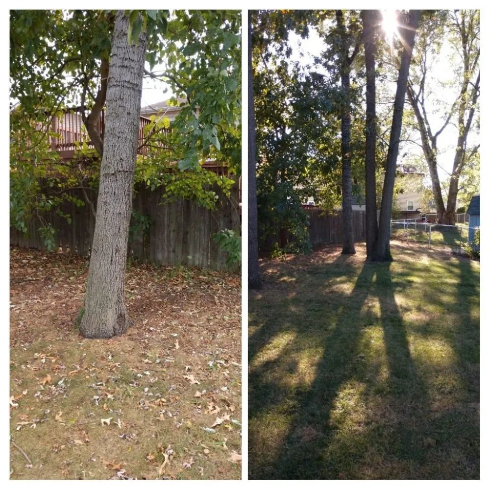 Trusted outdoor landscaping for year-round maintenance in Glen Burnie, MD by Two Buds Lawn Care