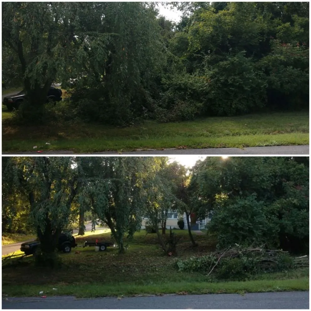 Professional landscape design in Glen Burnie, MD - Two Buds Lawn Care