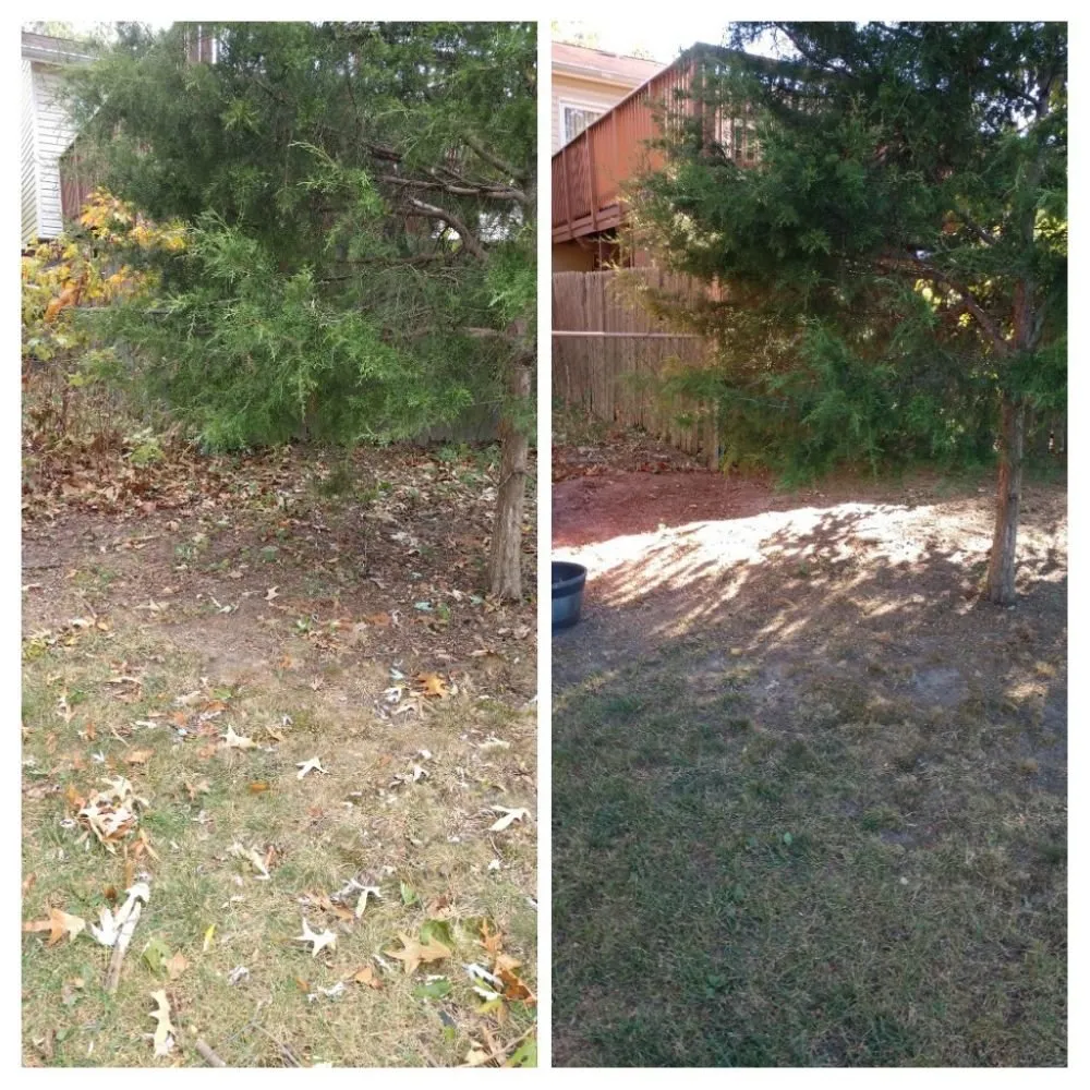 Affordable landscape installation in Glen Burnie, MD by Two Buds Lawn Care