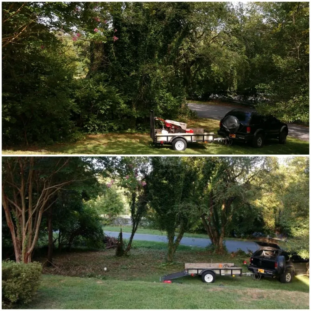 Reliable lawn care service in Glen Burnie, MD - Two Buds Lawn Care