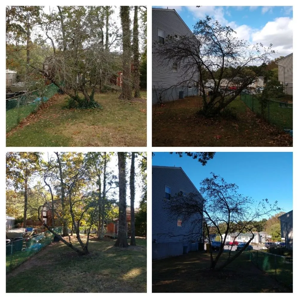 Reliable lawn mowing service for residential properties across Glen Burnie, MD - Two Buds Lawn Care