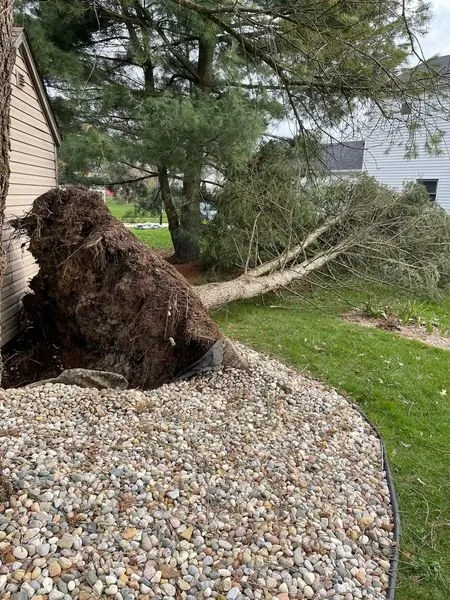 Professional lawn care service for residential properties in Argos, IN by Two Buds Tree Services