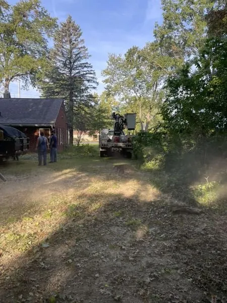 Affordable yard maintenance in Argos, IN - Two Buds Tree Services