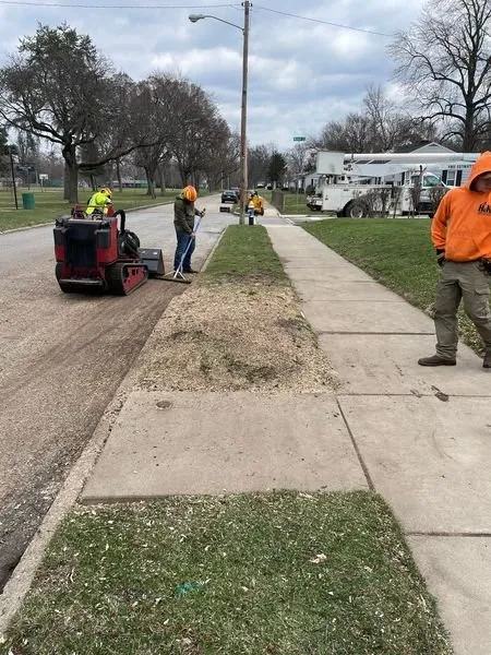 Custom landscaping services near you across Argos, IN - Two Buds Tree Services