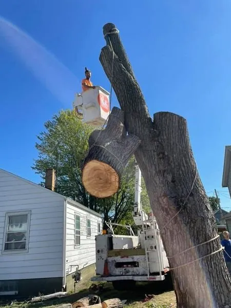 Top-rated landscaping services in Argos, IN - Two Buds Tree Services