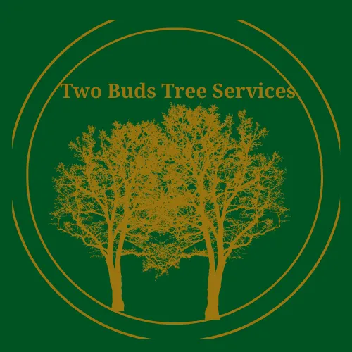 Reliable landscape installation in Argos, IN by Two Buds Tree Services