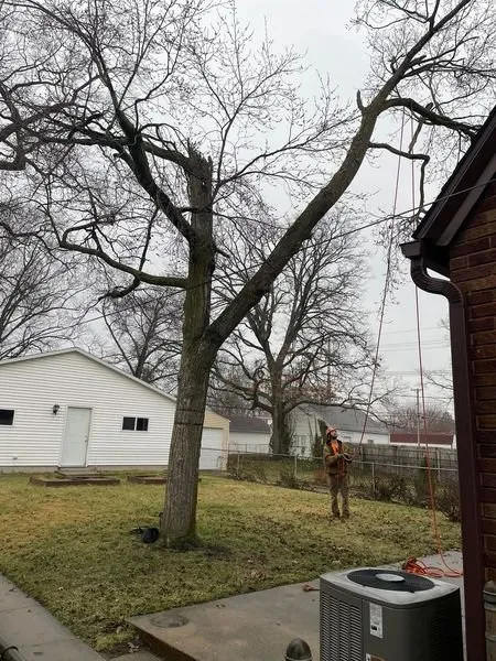 Trusted garden landscaping experts serving Argos, IN - Two Buds Tree Services