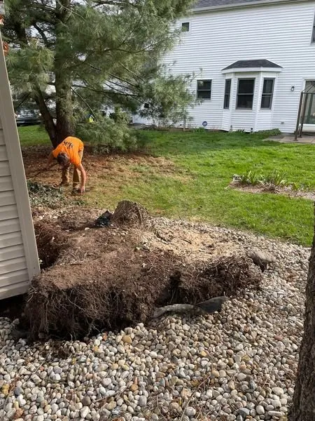 Top-rated garden landscaping in Argos, IN - Two Buds Tree Services