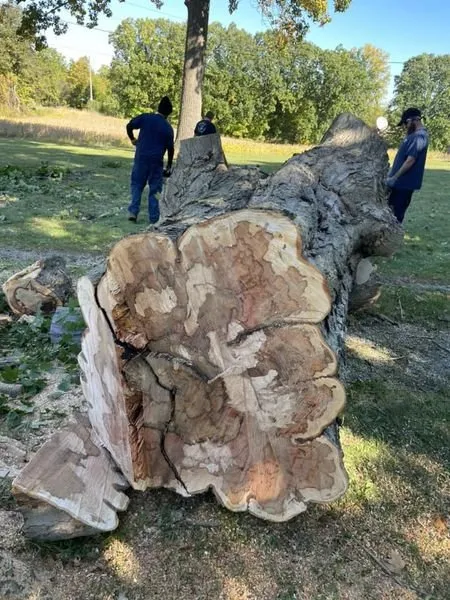 Local landscaping services for year-round maintenance across Argos, IN - Two Buds Tree Services