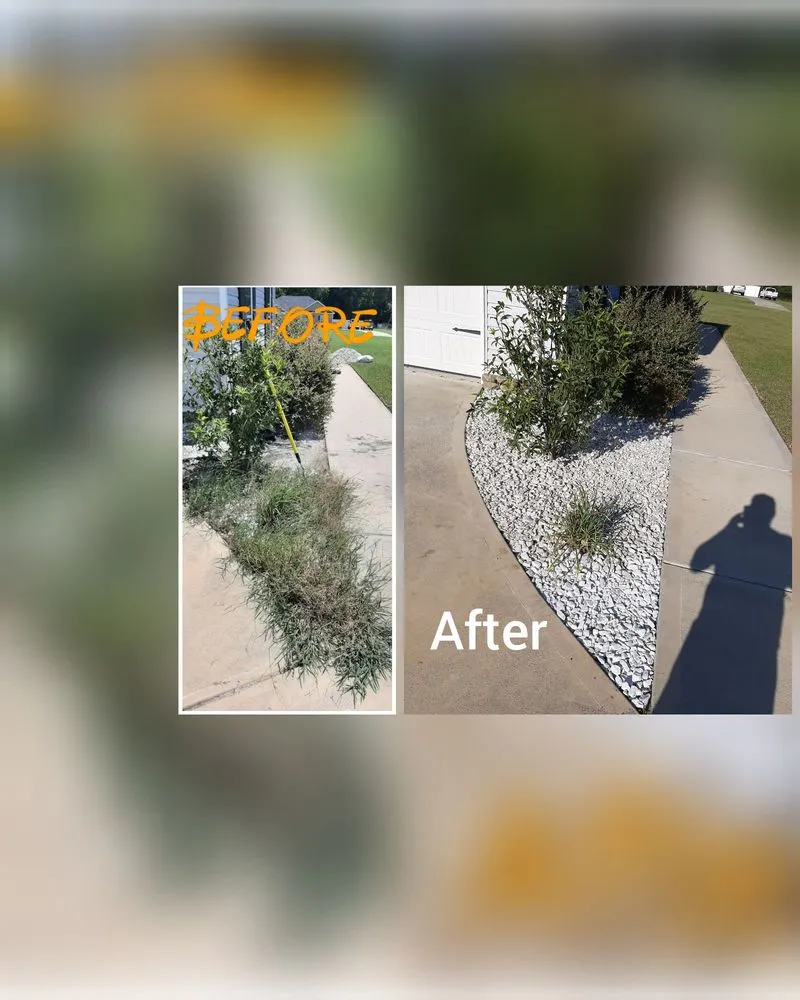 Expert landscape design for residential properties in Statesboro, GA by Two crazy Landscaping