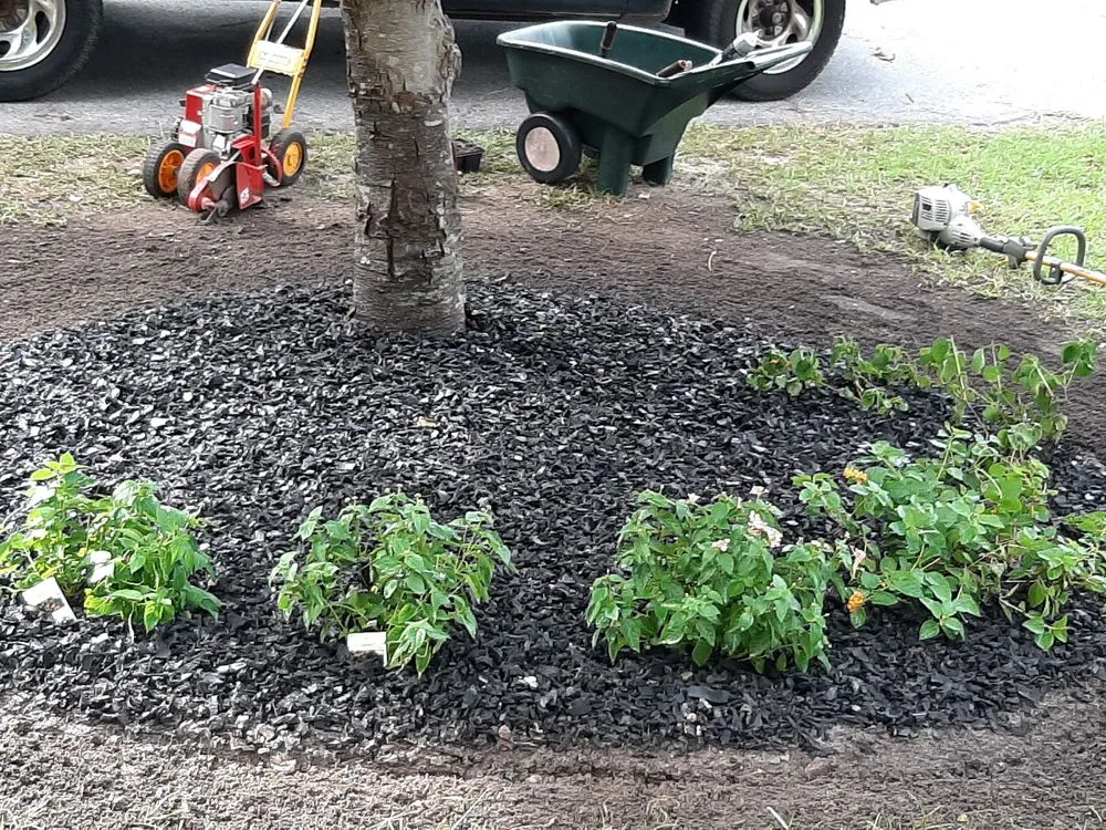 Affordable landscape installation for beautiful yards across Statesboro, GA - Two crazy Landscaping