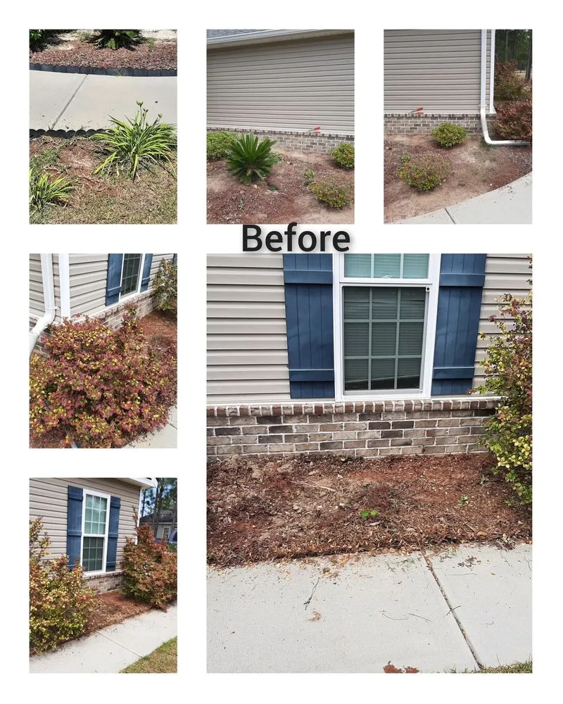 Trusted yard cleanup service experts serving Statesboro, GA - Two crazy Landscaping