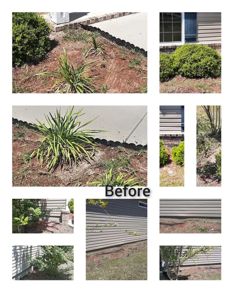 Trusted yard maintenance for homes across Statesboro, GA - Two crazy Landscaping