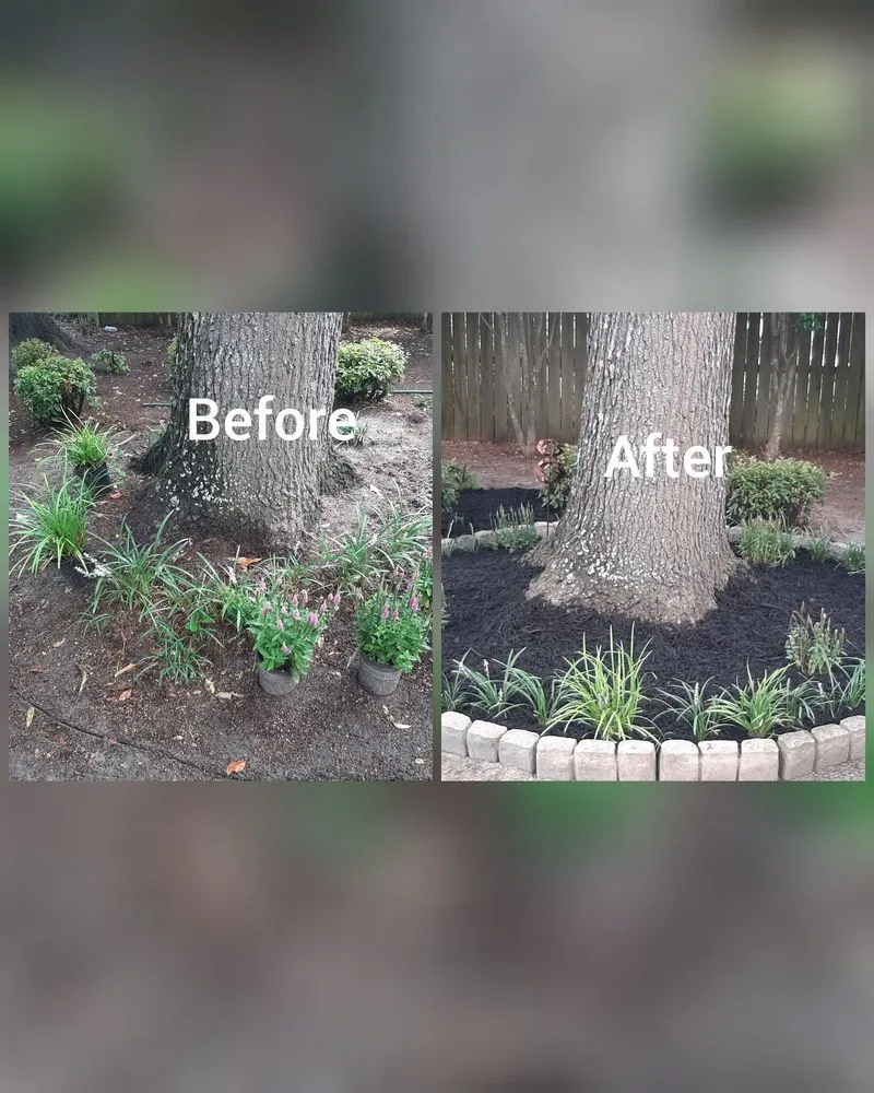 Affordable yard cleanup service in Statesboro, GA by Two crazy Landscaping