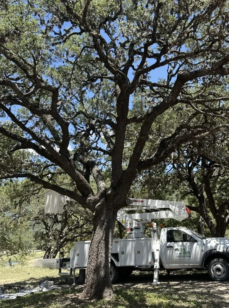 Expert lawn care service for year-round maintenance across Utopia, TX - Two Creeks Landscaping