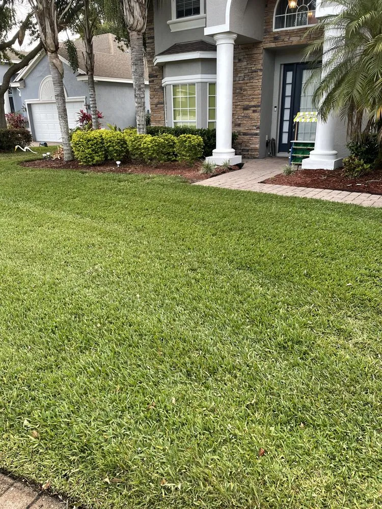 Trusted yard cleanup service in Orlando, FL by Two C’s Landscaping