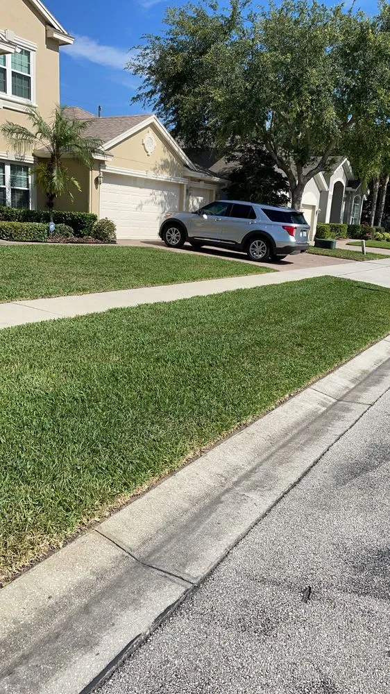 Expert yard cleanup service experts serving Orlando, FL - Two C’s Landscaping